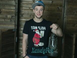 XandyFox