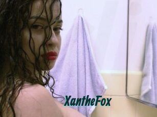 Xanthe_Fox