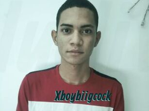Xboybiigcock