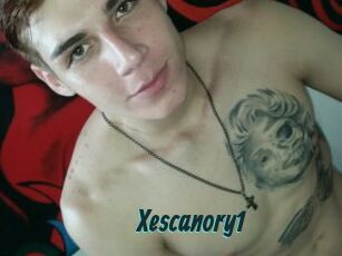 Xescanory1