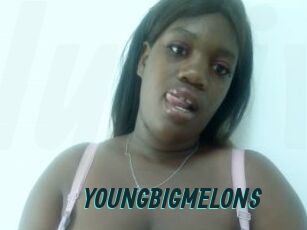 YOUNGBIGMELONS