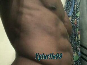 Ygturtle99
