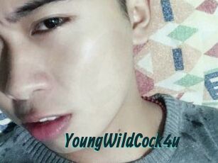 YoungWildCock4u