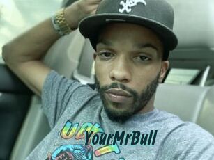 YourMrBull