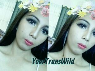 YourTransWild