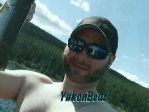 YukonBear