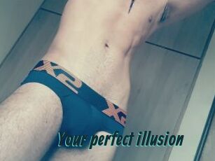 Your_perfect_illusion