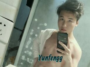 Yunfengg