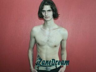 ZaneDream